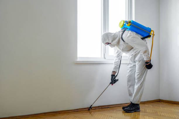 Best Commercial Pest Control Services  in Rochester Institute Of Technology, NY