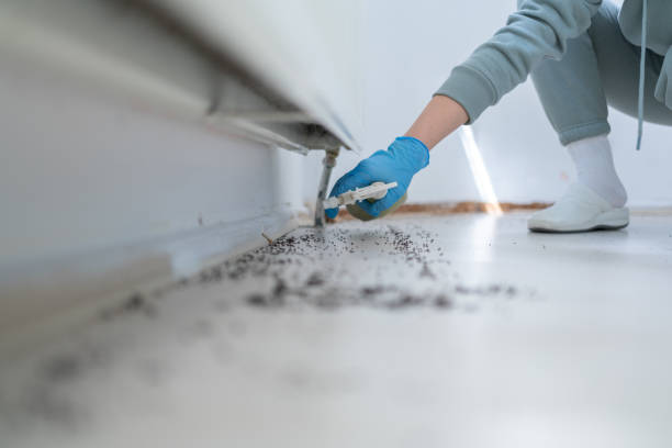 Best Commercial Pest Control Services  in Rochester Institute Of Technology, NY
